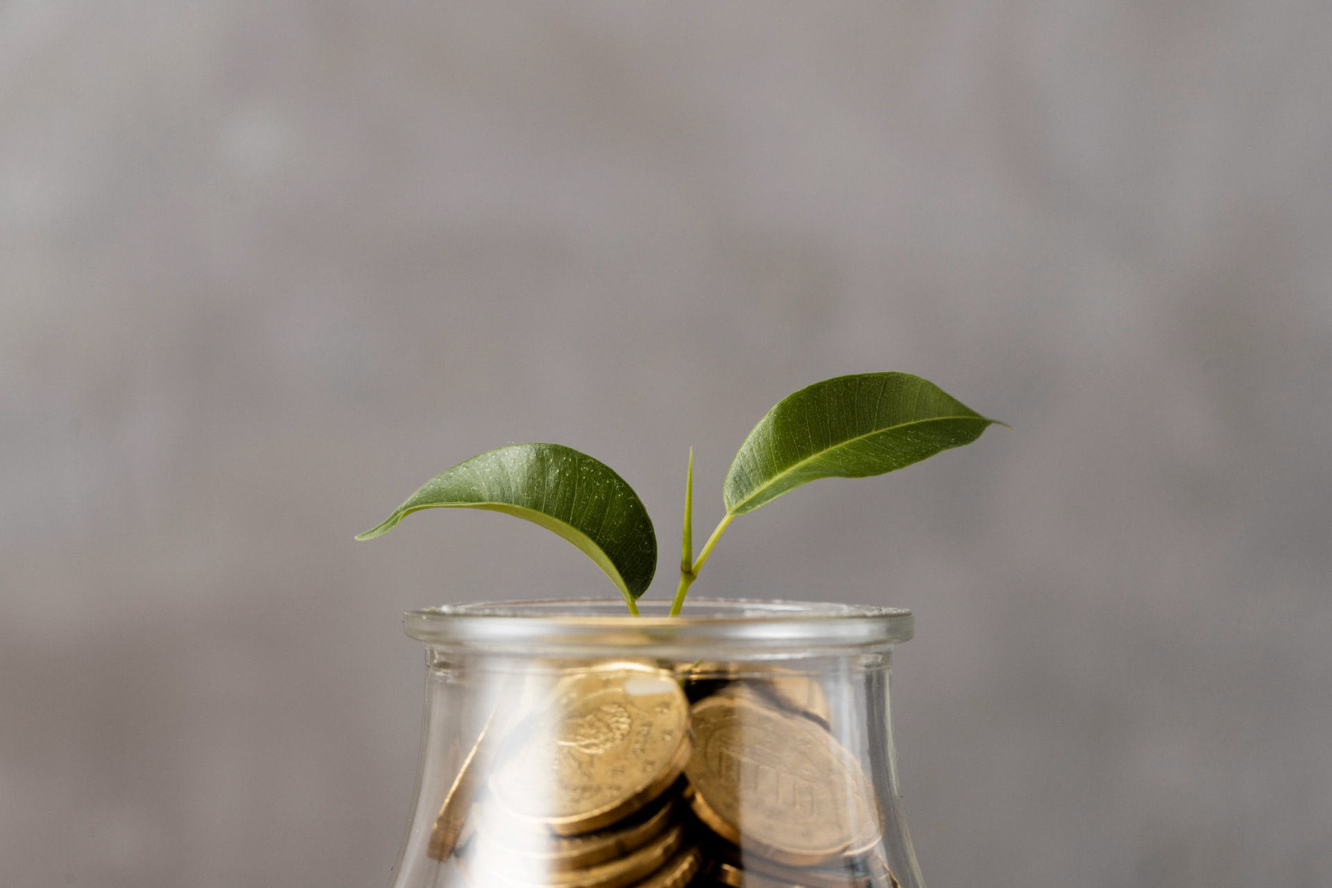 Microcredito come funziona
