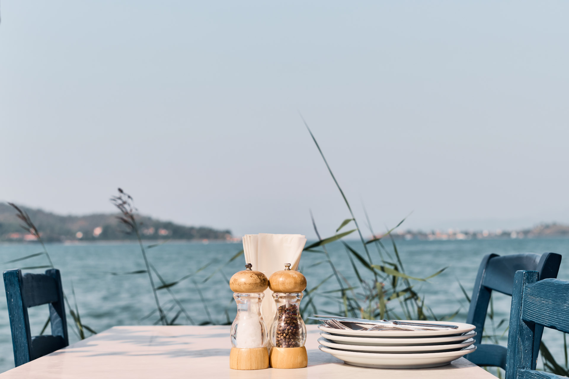 Resto-al-Sud-2.0-Requisiti
